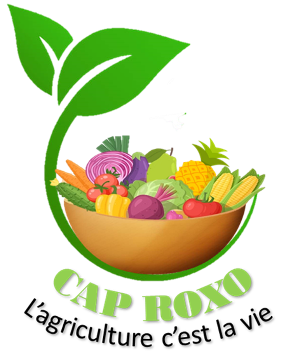 Logo Cap Roxo