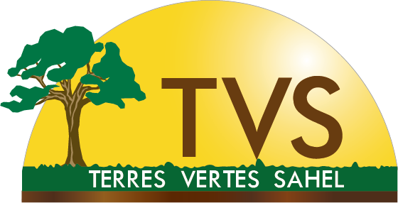 TVS